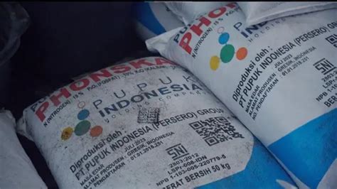 Stok Pupuk Di Indramayu Cukup Kementan Ajak Petani Optimalkan Masa