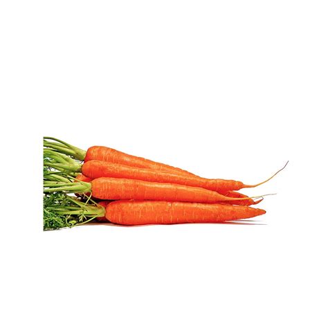 Carrot Oil And Beta Carotene 1398 Makingcosmetics