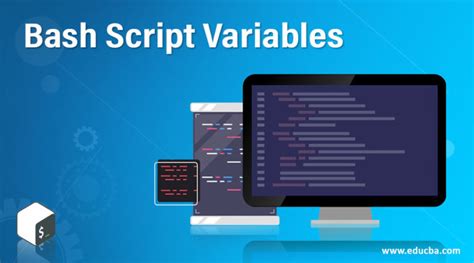 Bash Script Variables How Does It Work Programming Examples