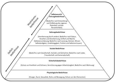 VL 9 Humanistische Psychotherapie Flashcards Quizlet