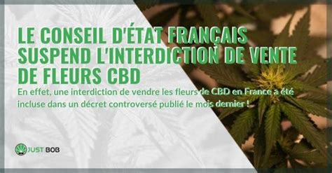 Justbob Blog Informations Sur Les Fleurs Cbd Justbob France