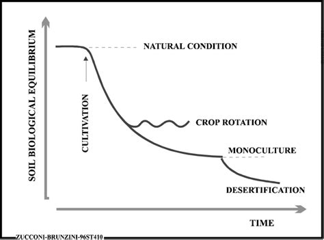 Soil Equilibrium In Function Of Type Of Agriculture Lower The Soil