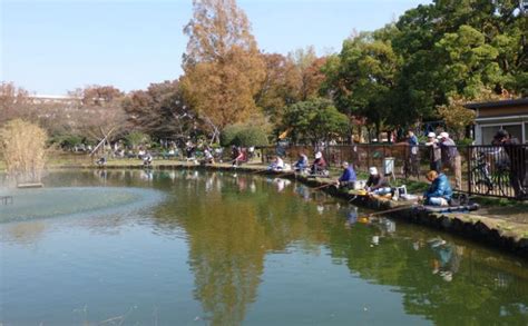 今週のヘラブナ推薦釣り場【東京都・元渕江公園】 Tsurinews