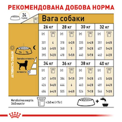 Сухой корм Royal Canin Labrador Retriever Adult для породы Лабрадор ...