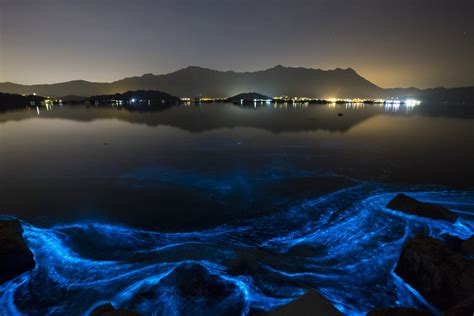 Why Is The Hong Kong Coast Glowing An Eerie Blue Cbs News