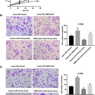 Effect Of TMPO AS1 Overexpression And Knockdown On The MiR 143 3p