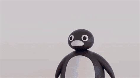 Noot Noot GIF - Noot Noot - Discover & Share GIFs