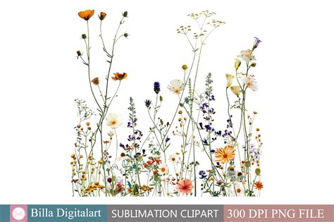 Free Wild Flowers Floral Border Clipart Graphic by BillaDigitalart ...