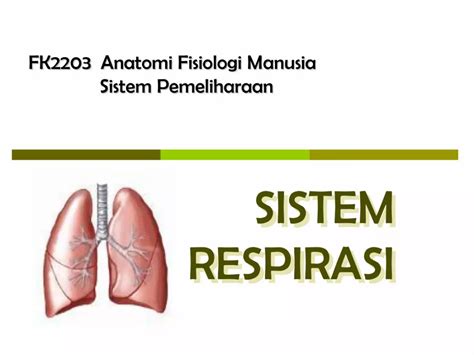 PDF SISTEM RESPIRASI FK2203 Anatomi Fisiologi Manusia Sistem