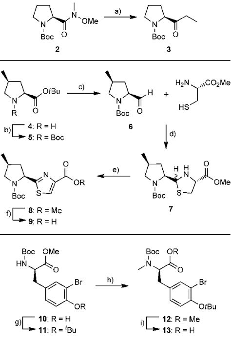 Scheme2 Synthesis Of Opp 4 Mepro Tz And N Me D Brtyr Fragments A Download Scientific Diagram