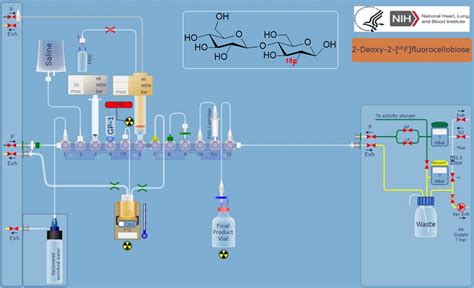 Fully Automated Cassette‐based Synthesis Of 2‐deoxy‐2‐[18f]fluorocellobiose Using Trasis