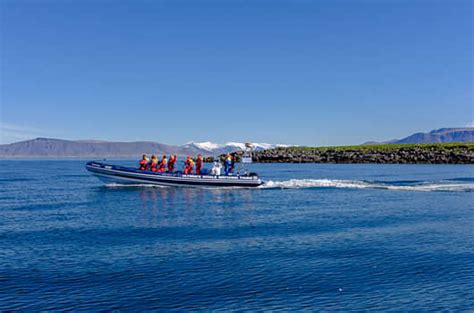 Reykjavik Express Puffin Tour Reykjavik Sightseeing Where Your