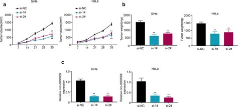 Hsa Circ 0000069 Promotes CC Tumor Growth In Vivo A The Tumor Growth