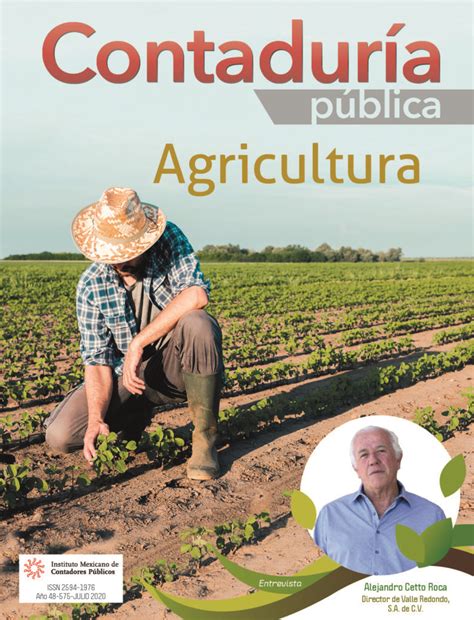 Revista Contadur A P Blica Julio Imcp