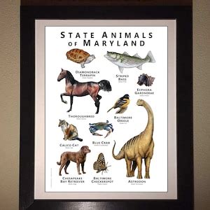 Maryland State Animals Poster Print - Etsy Canada