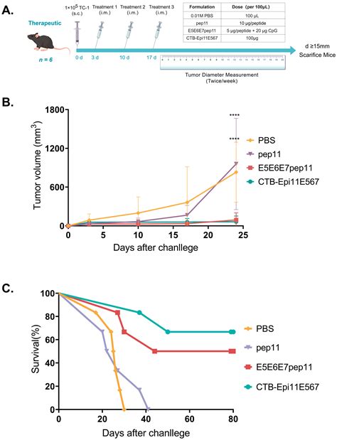 Vaccines Free Full Text Immunoinformatics Design And In Vivo