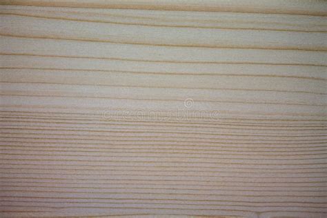 Spruce wood texture stock image. Image of grunge, blank - 190108617