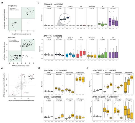 Single Cell RNA Sequencing Identifies Cell Type Specific Cis EQTLs And