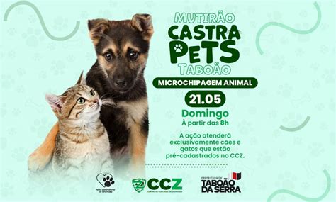 Mutirão Castra Pets acontece no domingo 21 05 em Taboão da Serra