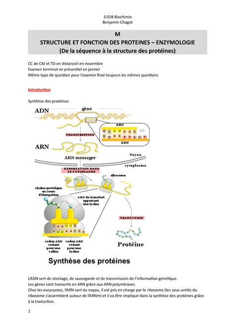 Biochimie Structure Et Fonction Des Prot Ines Benjamin Chagot M