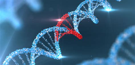 Fluorescent In Situ Hybridization - Araceli Biosciences