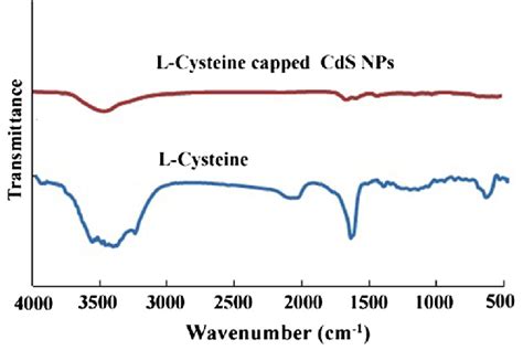 Fourier Transform Infra Red Ft Ir Spectra Of Free L Cysteine And