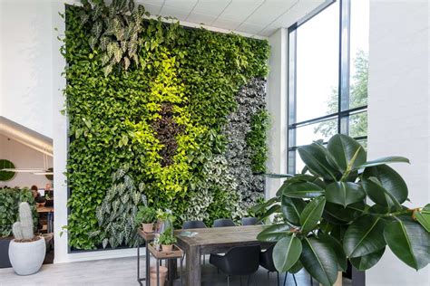 Grüne Wand Pflanzenwände 100 Nachhaltig Natural Greenwalls