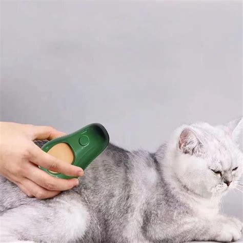 Brosse Vapeur Lectrique Pour Chat Brosse Poils De Chat Brosse