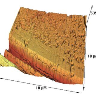 AFM Surface Topography For M6000 The Sample Coated By PVA Methanol