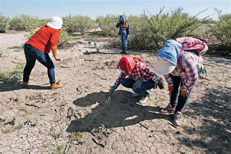 Coahuila Encabeza Lista Con M S Restos Seos Encontrados En Fosas