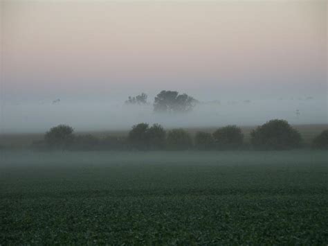 Free picture: early, morning, fog