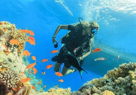 Ghada Abdel Razek Is Enjoying Her Summer Vacation In The Coral Reefs