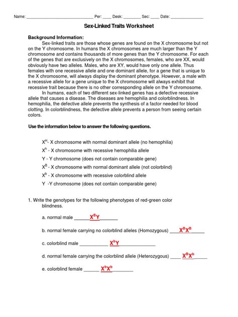 Sex Linked Worksheet Pdf Dominance Genetics Allele Worksheets Library