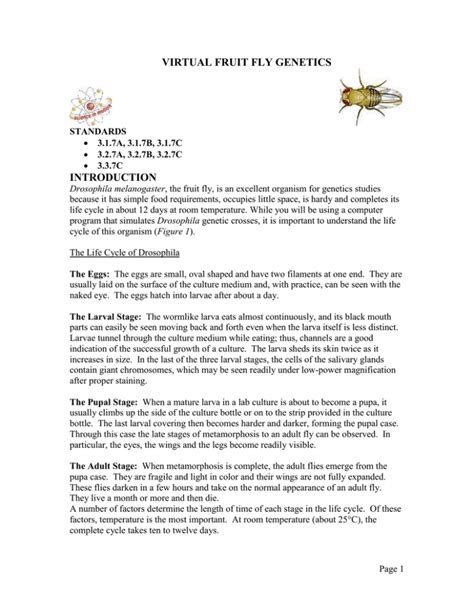 Virtual Fruit Fly Genetics Introduction