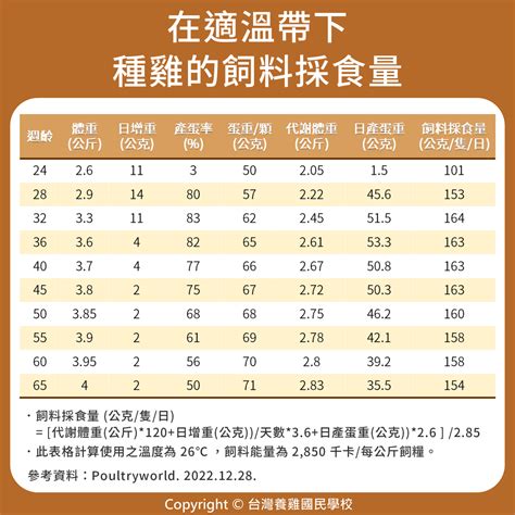 種雞｜169 在適溫帶下種雞的飼料採食量 優雞可尋