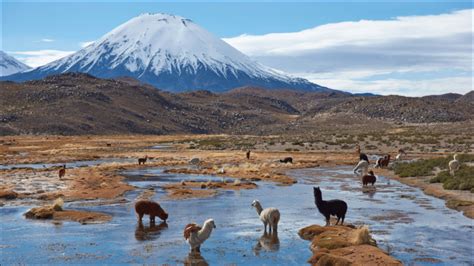 Encorto Tres Claves Para Entender C Mo Los Proyectos Mineros