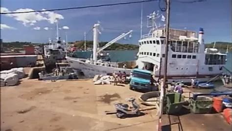 Gator 387 Free Anal Blowjob Porn Video Af XHamster