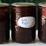 Salsa Roja - Healthy Canning in Partnership with Facebook Group Canning ...