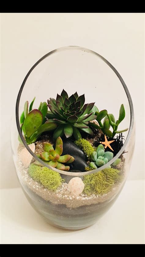 Beautiful Succulent Terrarium