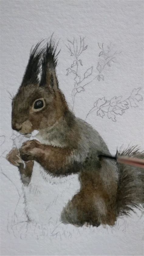 painting a squirrel in watercolor🌰🐿️🌸 #watercolor #watercolour | Watercolor animals, Watercolor ...