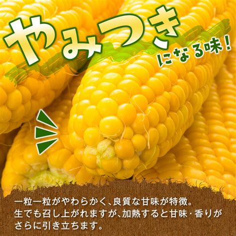 【楽天市場】【ふるさと納税】自慢のスイートコーン（約7kg）「楽天限定」ゴールドラッシュ「先行予約」 宮崎県 西都市産 とうもろこし さいと