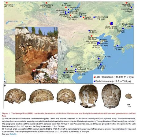 蒙自人化石dna揭示：東亞人直發3萬年前，變白始於7500年前 每日頭條