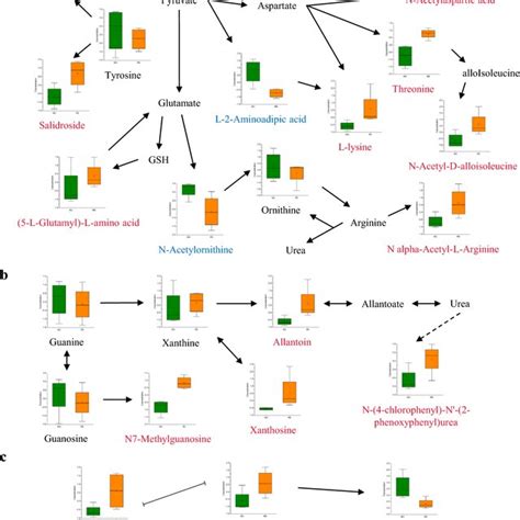 Analysis Of Differential Metabolites In Re And No A Volcano Plot