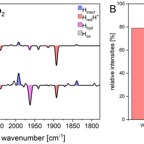 Ir Frequencies Of Cba H Wt And M E A Atr Ftir Difference Spectra Of