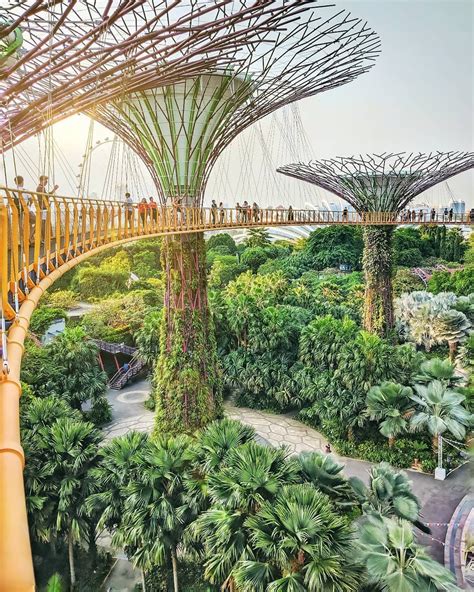 Cruises to singapore singapore royal caribbean cruises – Artofit