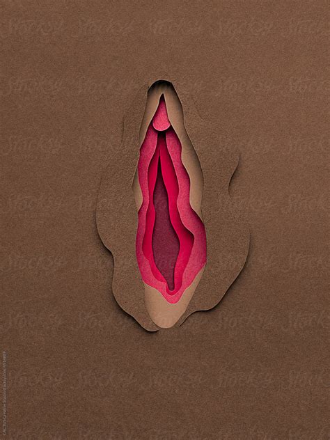 Vagina Shape By Stocksy Contributor CACTUS Creative Studio Stocksy