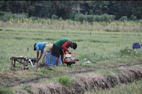 Foto 4 Bentuk Pengelolaan Sumber Daya Alam Berkelanjutan Halaman 3