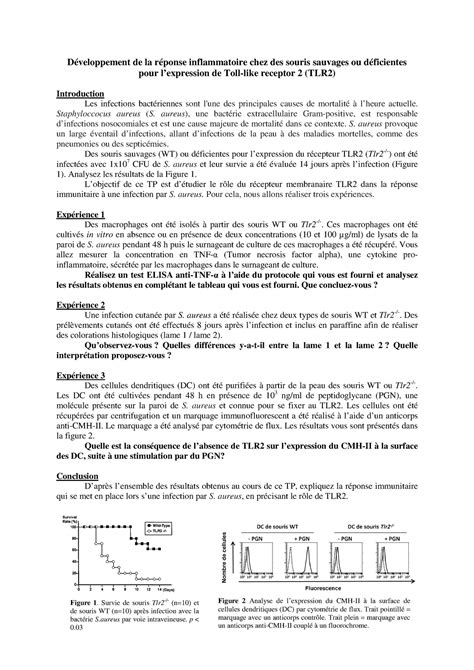 Fascicule Etudiant TP Immuno 2023 24 Développement de la réponse