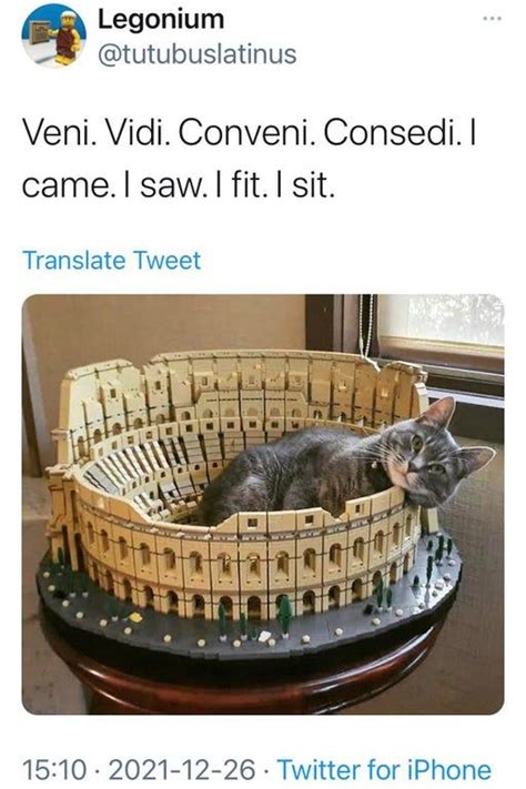 23 Purrfectly Fresh And Funny Cat Memes To Start Your Caturday Off On