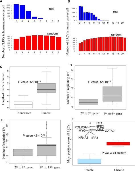 Interplay Of LRCs And Feedback Loops In Human Cell Lines AC